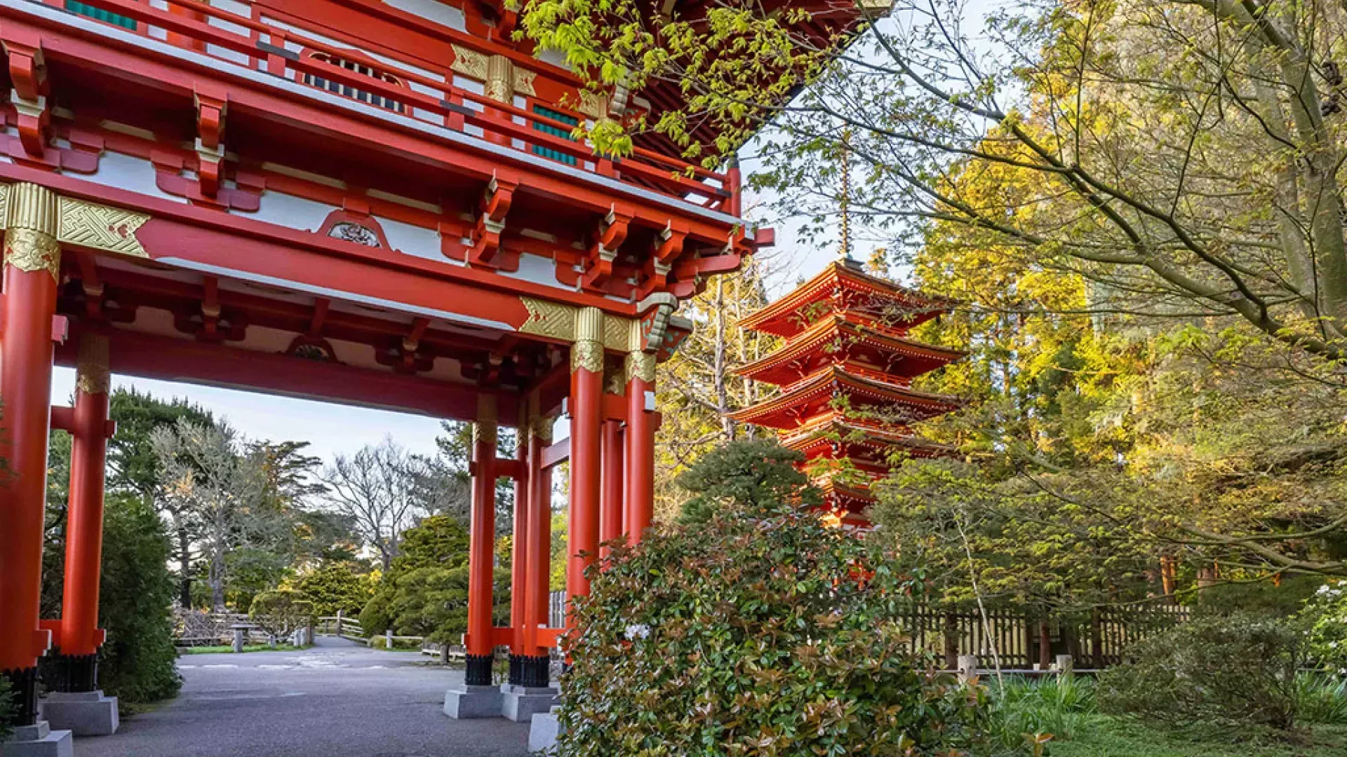 Temple du jardin de thé japonais